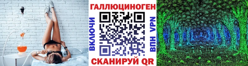 где купить наркоту  Вилючинск  hydra вход  Галлюциногенные грибы Psilocybine cubensis 