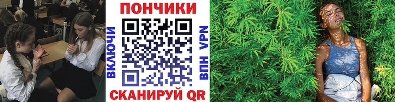 Шишки марихуана марихуана  MEGA как зайти  Вилючинск  где купить наркоту 